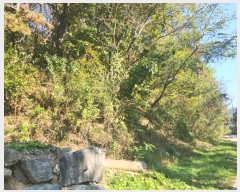  2024Ÿ��53551  �Ӿ߰��