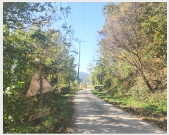  2024Ÿ��53551  �Ӿ߰��