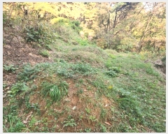  2024Ÿ��53551  �Ӿ߰��