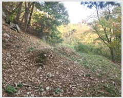  2024Ÿ��53551  �Ӿ߰��