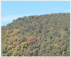  2024Ÿ��53551  �Ӿ߰��