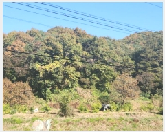  2024Ÿ��53551  �Ӿ߰��