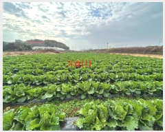  2024Ÿ��54455 ��� ���ý� û���� �ѻ긮 489      ����(��)���