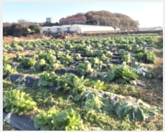  2024Ÿ��54455 ��� ���ý� û���� �ѻ긮 489      ����(��)���