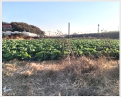  2024Ÿ��54455 ��� ���ý� û���� �ѻ긮 489      ����(��)���