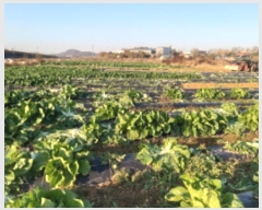  2024Ÿ��54455 ��� ���ý� û���� �ѻ긮 489      ����(��)���