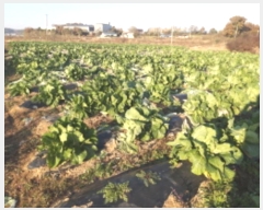  2024Ÿ��54455 ��� ���ý� û���� �ѻ긮 489      ����(��)���