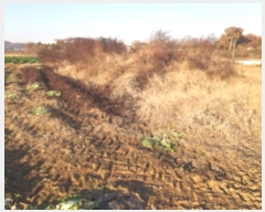  2024Ÿ��54455 ��� ���ý� û���� �ѻ긮 489      ����(��)���