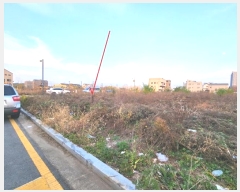  2024Ÿ��54707  �������