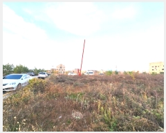  2024Ÿ��54707  �������