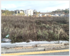  2024Ÿ��54707  �������