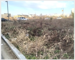  2024Ÿ��54707  �������