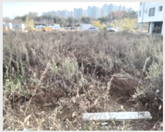  2024Ÿ��54707  �������