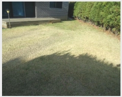  2024Ÿ��54714  ���ð��