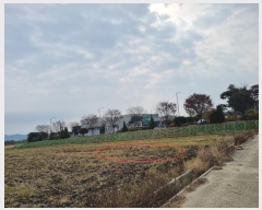  2024Ÿ��54912  ����