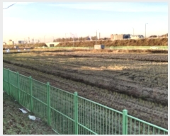  2024Ÿ��54912  ����