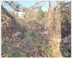  2024Ÿ54981  ý ź ϸ 108-2      (Ӿ)