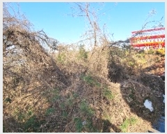  2024Ÿ54981  ý ź ϸ 108-2      (Ӿ)