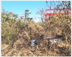  2024Ÿ54981  ý ź ϸ 108-2      (Ӿ)