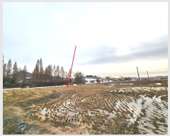  2024Ÿ��55298 ��� �ȼ��� ����� �ҳ��� 172      ����(��)���