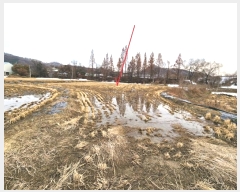  2024Ÿ��55298 ��� �ȼ��� ����� �ҳ��� 172      ����(��)���