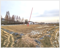  2024Ÿ��55298 ��� �ȼ��� ����� �ҳ��� 172      ����(��)���