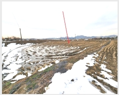  2024Ÿ��55298 ��� �ȼ��� ����� �ҳ��� 172      ����(��)���