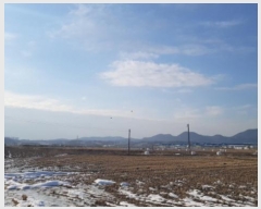  2024Ÿ��55298 ��� �ȼ��� ����� �ҳ��� 172      ����(��)���