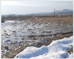  2024Ÿ��55298 ��� �ȼ��� ����� �ҳ��� 172      ����(��)���