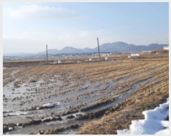  2024Ÿ��55298 ��� �ȼ��� ����� �ҳ��� 172      ����(��)���