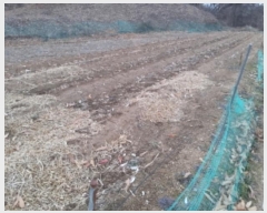  2024Ÿ��55304  �����