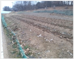  2024Ÿ��55304  �����