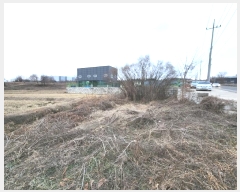  2024Ÿ55915  ý û  84      ()