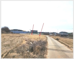  2024Ÿ55915  ý û  84      ()