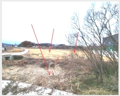  2024Ÿ55915  ý û  84      ()