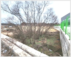  2024Ÿ55915  ý û  84      ()