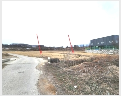  2024Ÿ55915  ý û  84      ()