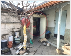  2024Ÿ��333  ���ð��