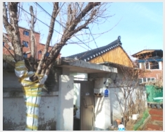  2024Ÿ��333  ���ð��