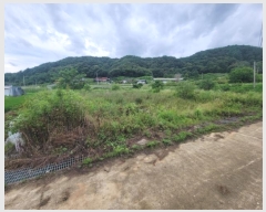  2024Ÿ��1695 ���� ȫõ�� �Ϲ�� ��ȭ�踮 721      ����(��)���