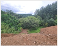  2024Ÿ��1695 ���� ȫõ�� �Ϲ�� ��ȭ�踮 721      ����(��)���