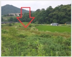  2024Ÿ��1695 ���� ȫõ�� �Ϲ�� ��ȭ�踮 721      ����(��)���