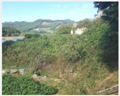  2024Ÿ��2537 ���� ��õ�� ��ϸ� ��ź�� 536-5      ����(�Ӿ�)���