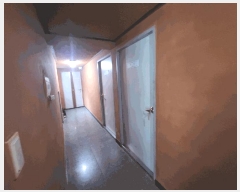  2024Ÿ��2773 ���� ������ ������ ���縮 169      ���(ķ����)���