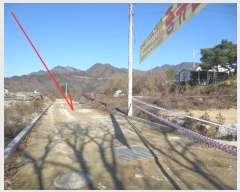  2024Ÿ��2971 ���� ȫõ�� ���� �� 518-49      ����(��)���