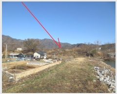  2024Ÿ��2971 ���� ȫõ�� ���� �� 518-49      ����(��)���