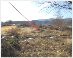  2024Ÿ��2971 ���� ȫõ�� ���� �� 518-49      ����(��)���