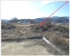  2024Ÿ��2971 ���� ȫõ�� ���� �� 518-49      ����(��)���