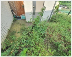  2024Ÿ53405  õ ŵ  657-2      ð