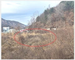  2024Ÿ55524  õ  â̸ 45-2      (1)